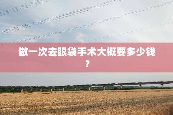 做一次去眼袋手术大概要多少钱？