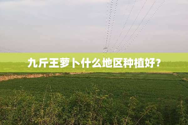 九斤王萝卜什么地区种植好？