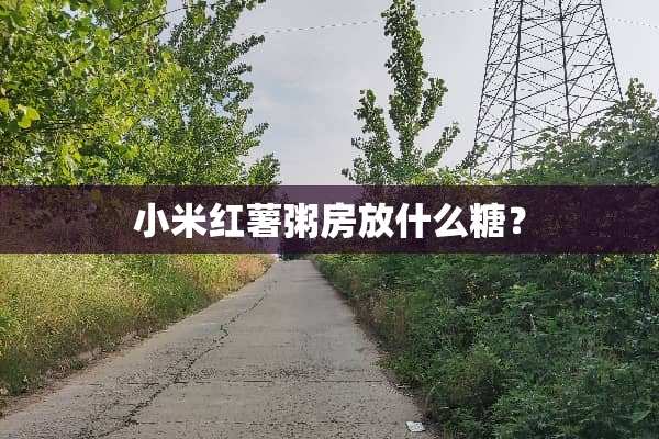 小米红薯粥房放什么糖？