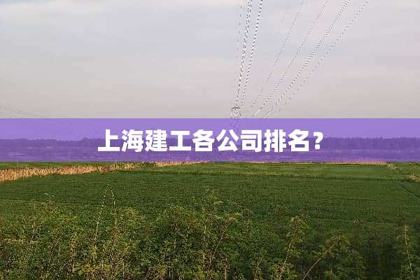 上海建工各公司排名？