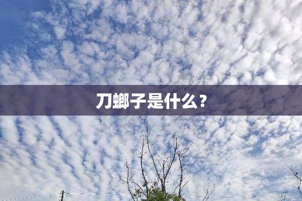 刀螂子是什么？