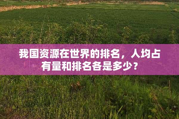我国资源在世界的排名，人均占有量和排名各是多少？
