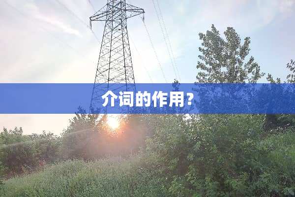 介词的作用？