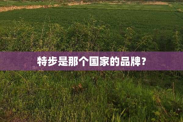 特步是那个国家的品牌？