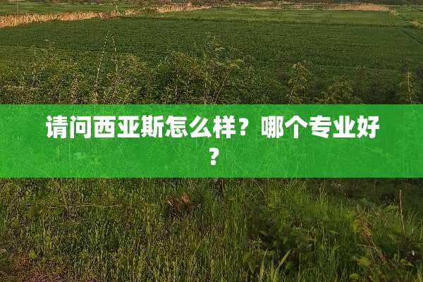 请问西亚斯怎么样？哪个专业好？