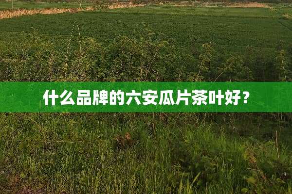 什么品牌的六安瓜片茶叶好？