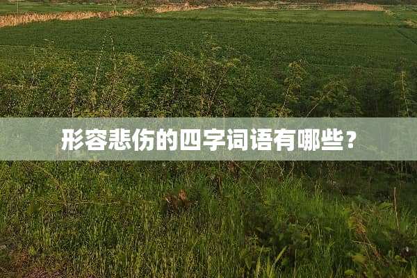 形容悲伤的四字词语有哪些？
