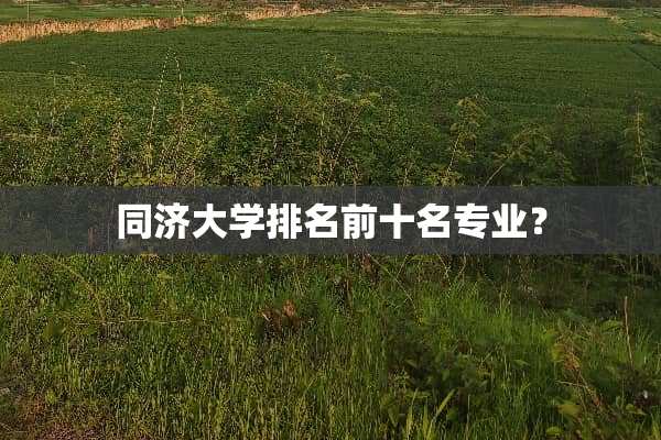 同济大学排名前十名专业？