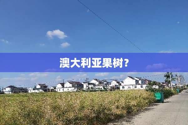 澳大利亚果树？