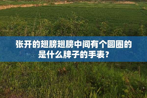 张开的翅膀翅膀中间有个圆圈的是什么牌子的手表？