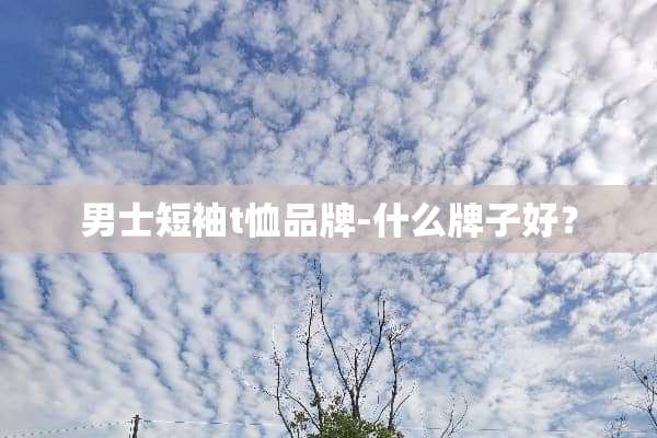 男士短袖t恤品牌-什么牌子好？