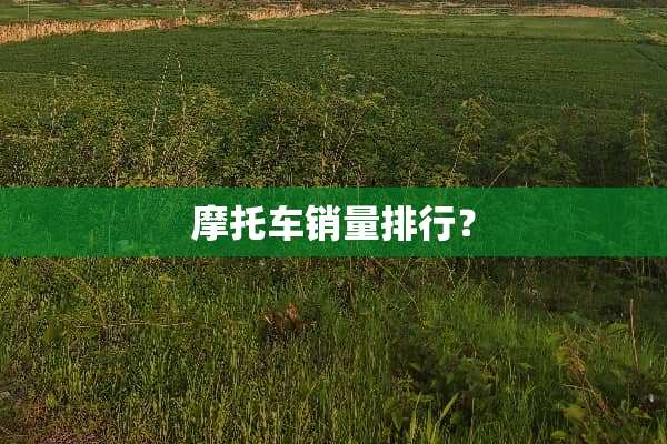 摩托车销量排行？