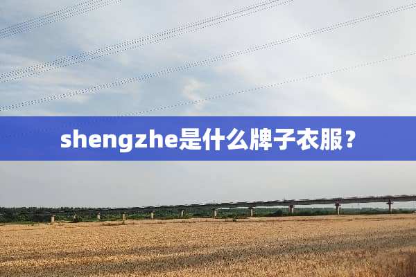 shengzhe是什么牌子衣服？