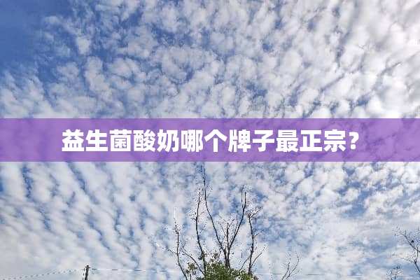 益生菌酸奶哪个牌子最正宗？