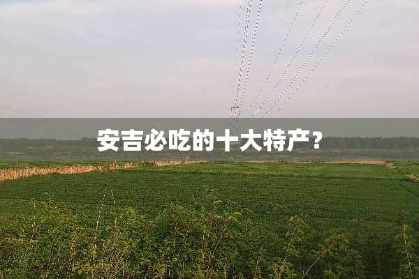 安吉必吃的十大特产？