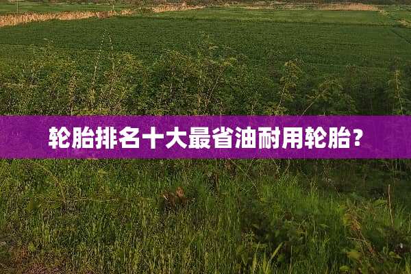 轮胎排名十大最省油耐用轮胎？