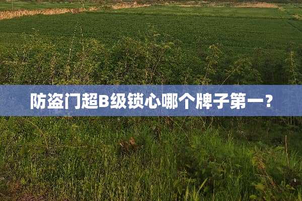 防盗门超B级锁心哪个牌子第一？