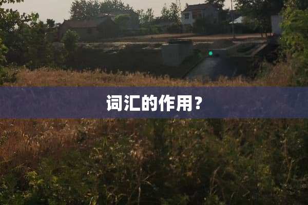 词汇的作用？