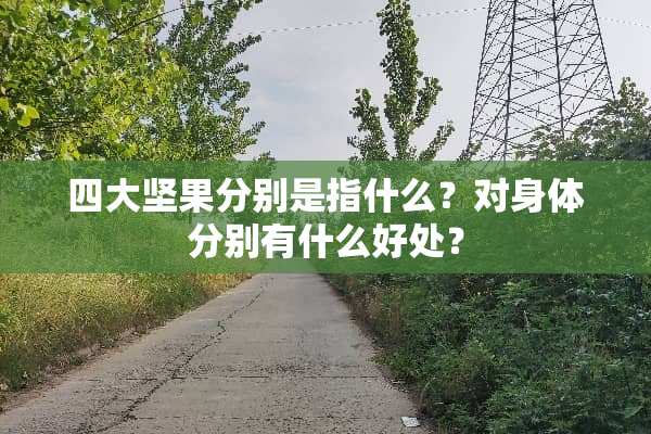 四大坚果分别是指什么？对身体分别有什么好处？