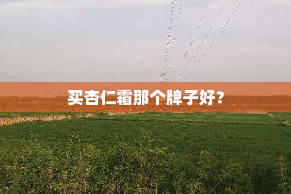 买杏仁霜那个牌子好？