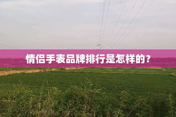 情侣手表品牌排行是怎样的？