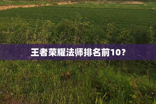 王者荣耀法师排名前10？