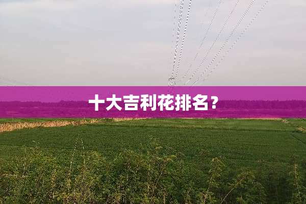 十大吉利花排名？