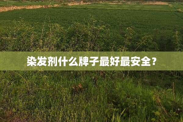 染发剂什么牌子最好最安全？