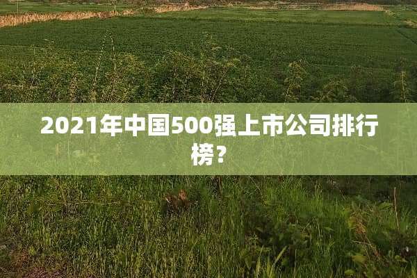 2021年中国500强上市公司排行榜？