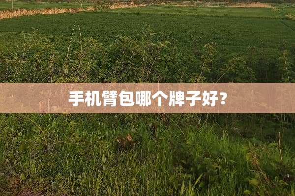 手机臂包哪个牌子好？