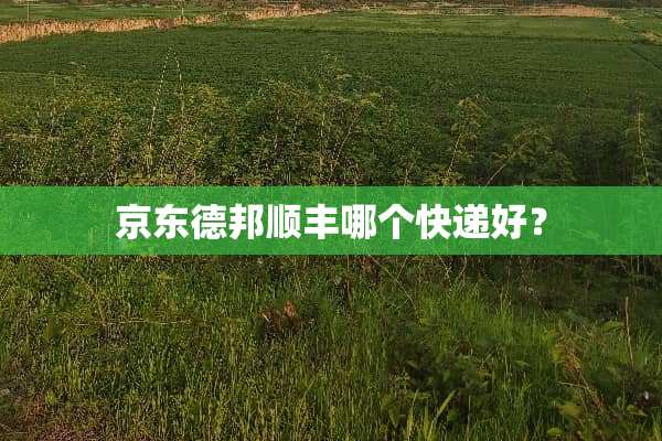 京东德邦顺丰哪个快递好？