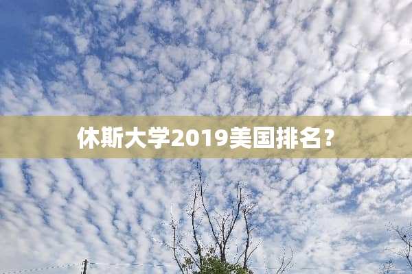 休斯大学2019美国排名？