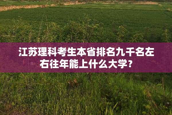 江苏理科考生本省排名九千名左右往年能上什么大学？
