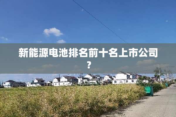 新能源电池排名前十名上市公司？