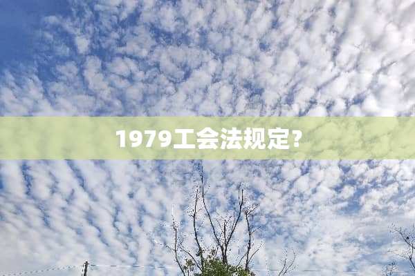 1979工会法规定？