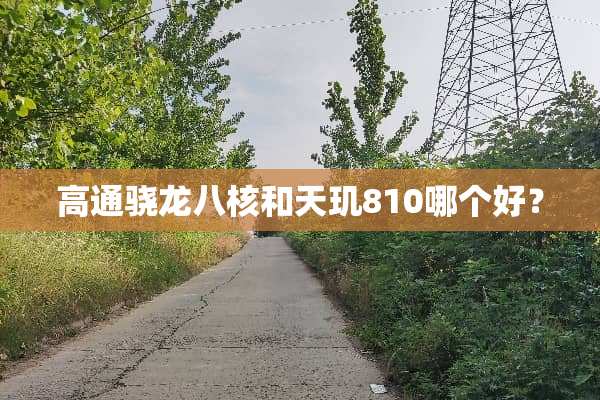 高通骁龙八核和天玑810哪个好？