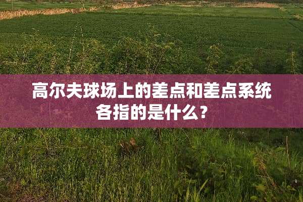 高尔夫球场上的差点和差点系统各指的是什么？