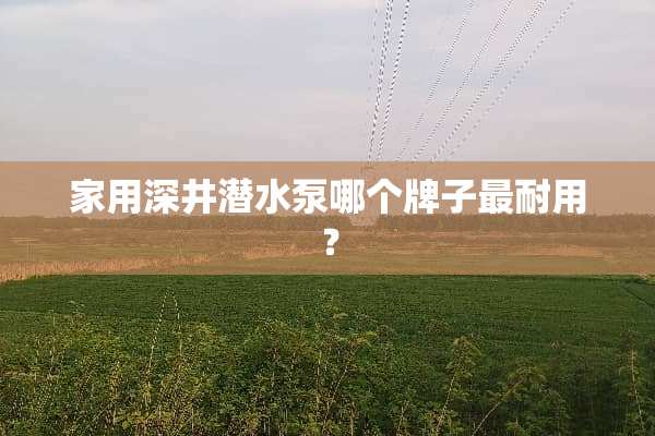 家用深井潜水泵哪个牌子最耐用？