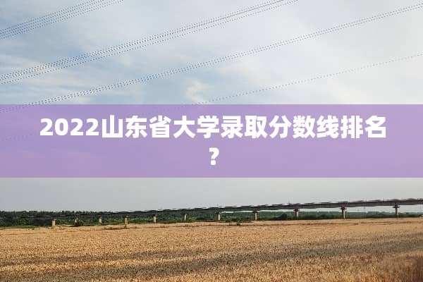 2022山东省大学录取分数线排名？