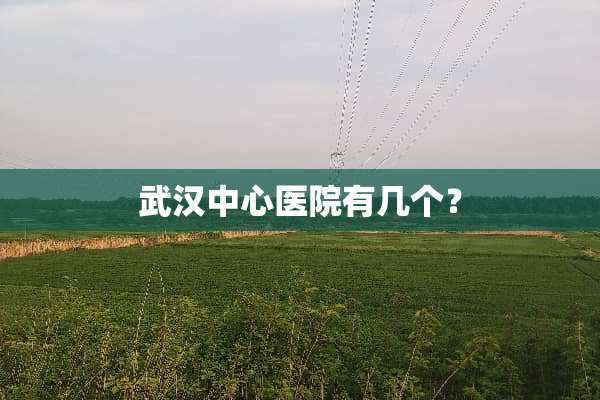 武汉中心医院有几个？