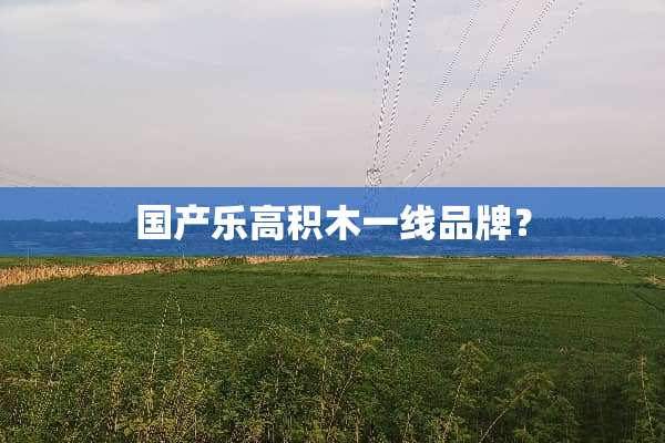 国产乐高积木一线品牌？