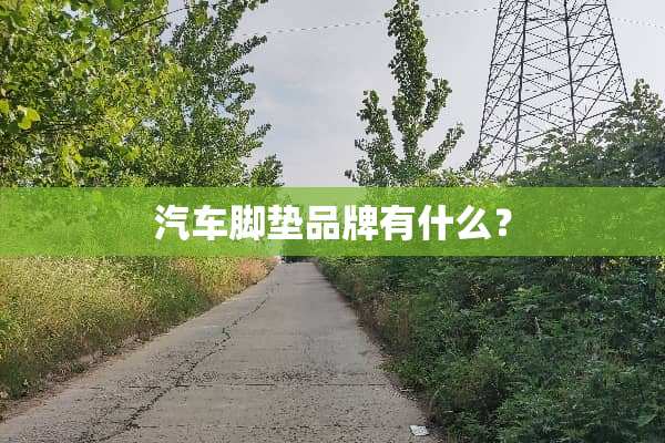 汽车脚垫品牌有什么？