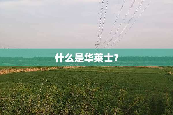 什么是华莱士？