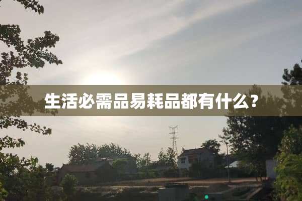 生活必需品易耗品都有什么？