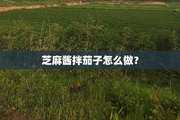芝麻酱拌茄子怎么做？