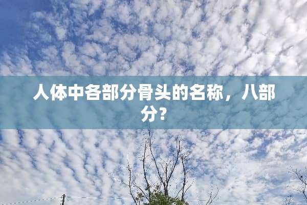 人体中各部分骨头的名称，八部分？