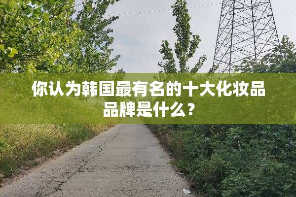 你认为韩国最有名的十大化妆品品牌是什么？