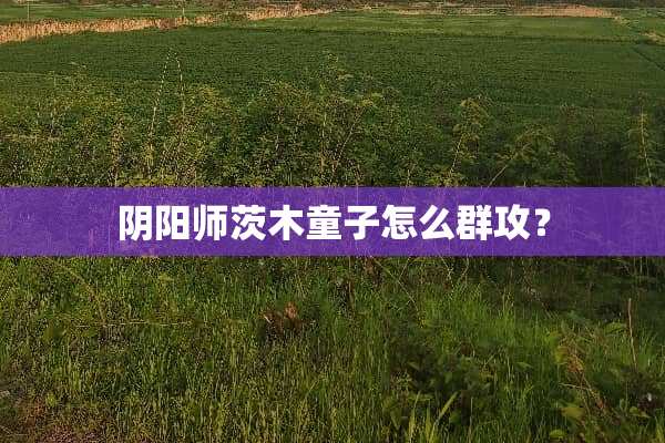*阳师茨木童子怎么群攻？