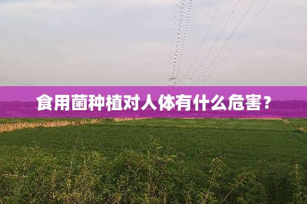 食用菌种植对人体有什么危害？