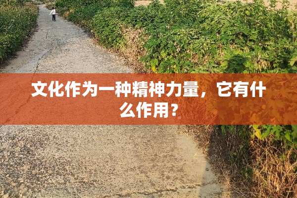 文化作为一种精神力量，它有什么作用？